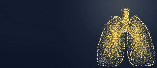 image banner
