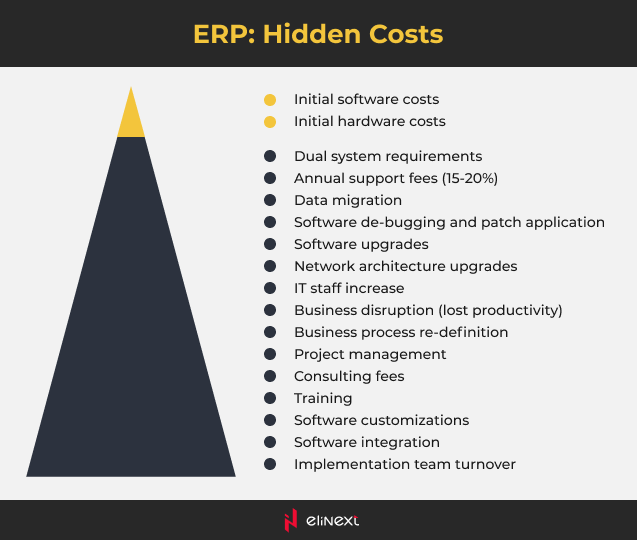 ERP - versteckte Kosten
