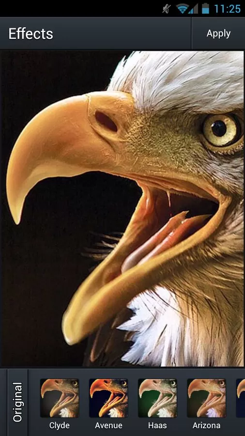 4811990d981e47059bd5ce927e04ef2e