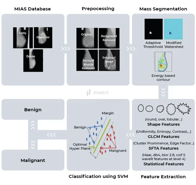 Сore stages of medical imaging interpretation