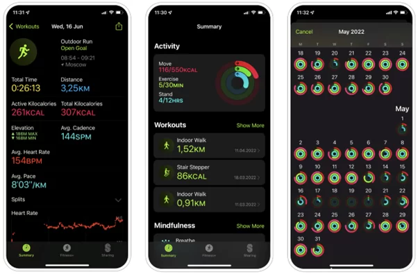 FitBit App Schnittstelle