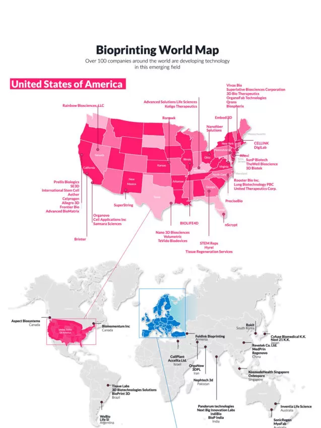3d Bioprinting Weltkarte und Marktbericht