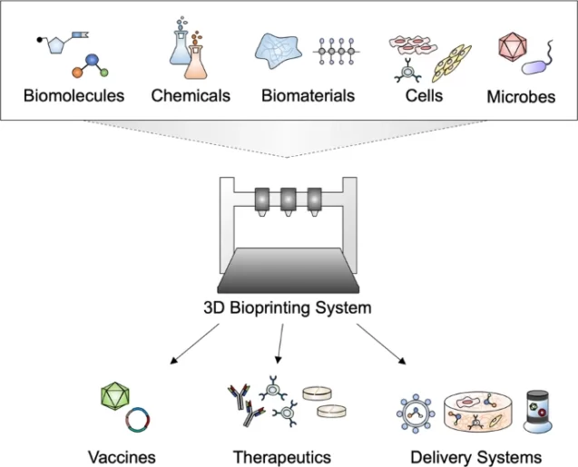 Anwendungen des 3D-Biodrucks für die Herstellung von Impfstoffen, Therapeutika und Verabreichungssystemen