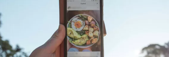 Erstellung von Ernährungssoftware: eine Schritt-für-Schritt-Anleitung