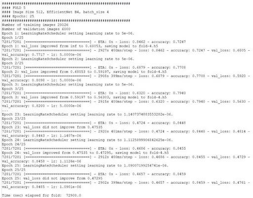 die Geschichte der Ereignisse der fünften Stufe der Ausbildung