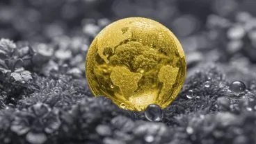 Testautomatisierung für Novisto ESG-Software