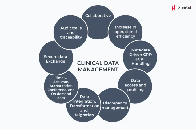 Kreisdiagramm: Schlüsselmerkmale des Klinischen Datenmanagements